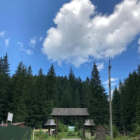 Chateau * Буковель